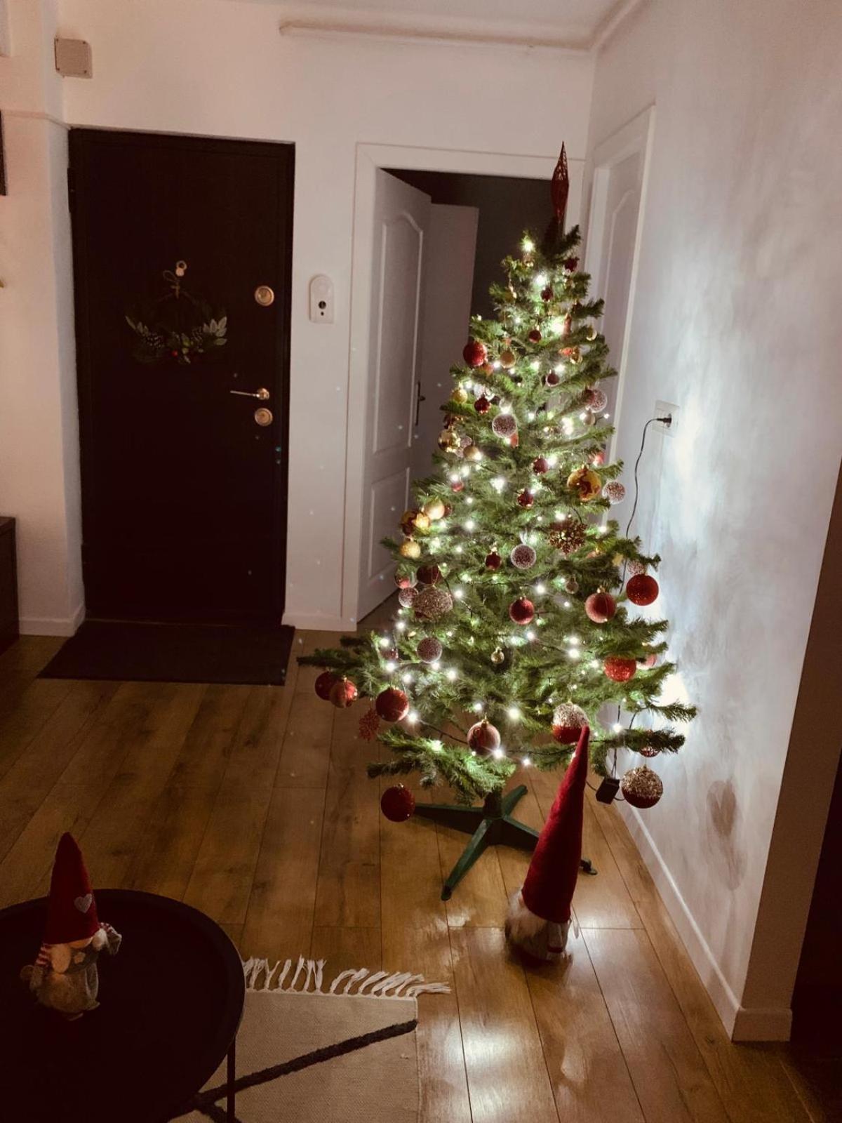 Iris Apartment Piatra Neamţ Zewnętrze zdjęcie